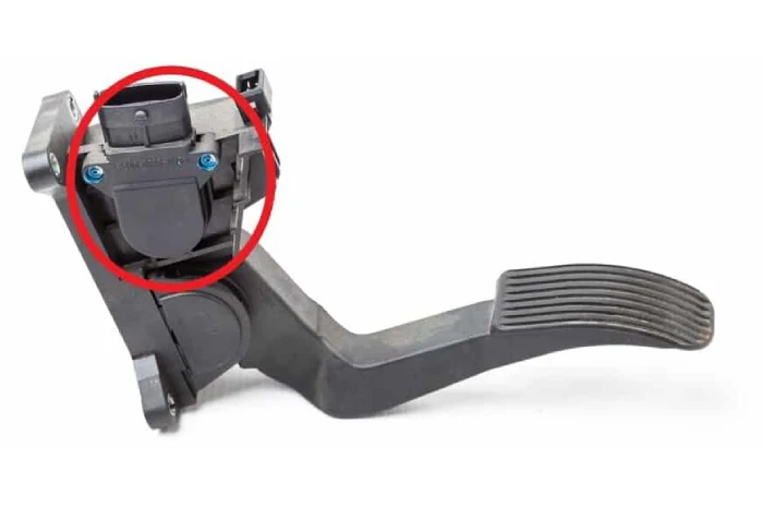 Throttle Position Sensor / APP